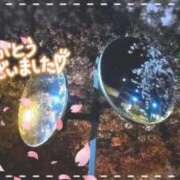 ヒメ日記 2025/04/07 00:17 投稿 遠藤　さら プルプル人妻専門店