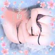 ヒメ日記 2025/04/07 11:22 投稿 遠藤　さら プルプル人妻専門店