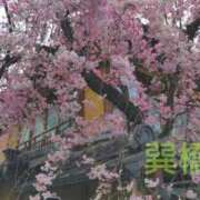 ヒメ日記 2025/04/07 15:00 投稿 遠藤　さら プルプル人妻専門店