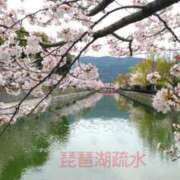 ヒメ日記 2025/04/10 09:17 投稿 遠藤　さら プルプル人妻専門店