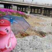 ヒメ日記 2025/04/10 15:21 投稿 遠藤　さら プルプル人妻専門店