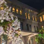 ヒメ日記 2025/04/11 00:39 投稿 遠藤　さら プルプル人妻専門店