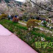 ヒメ日記 2025/04/11 14:50 投稿 遠藤　さら プルプル人妻専門店