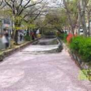 ヒメ日記 2025/04/12 15:28 投稿 遠藤　さら プルプル人妻専門店