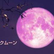 ヒメ日記 2025/04/13 18:12 投稿 遠藤　さら プルプル人妻専門店