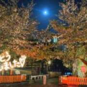 ヒメ日記 2025/04/16 00:39 投稿 遠藤　さら プルプル人妻専門店