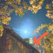 ヒメ日記 2025/04/16 06:33 投稿 遠藤　さら プルプル人妻専門店