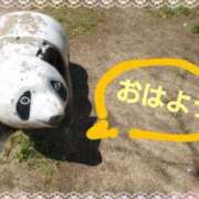 ヒメ日記 2025/04/20 06:03 投稿 遠藤　さら プルプル人妻専門店