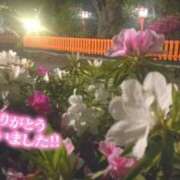 ヒメ日記 2025/04/24 00:50 投稿 遠藤　さら プルプル人妻専門店