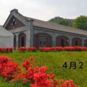 ヒメ日記 2025/04/25 13:04 投稿 遠藤　さら プルプル人妻専門店