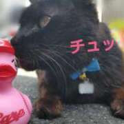 ヒメ日記 2025/04/26 15:18 投稿 遠藤　さら プルプル人妻専門店