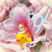 ヒメ日記 2025/04/27 23:21 投稿 遠藤　さら プルプル人妻専門店