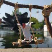 ヒメ日記 2025/04/30 09:09 投稿 遠藤　さら プルプル人妻専門店