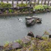 ヒメ日記 2025/05/02 10:25 投稿 遠藤　さら プルプル人妻専門店