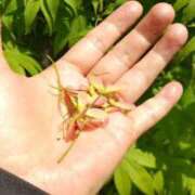 ヒメ日記 2025/05/03 20:56 投稿 遠藤　さら プルプル人妻専門店