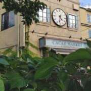 ヒメ日記 2025/05/04 16:39 投稿 遠藤　さら プルプル人妻専門店