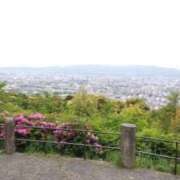 ヒメ日記 2025/05/09 06:11 投稿 遠藤　さら プルプル人妻専門店