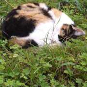 ヒメ日記 2025/05/13 08:59 投稿 遠藤　さら プルプル人妻専門店