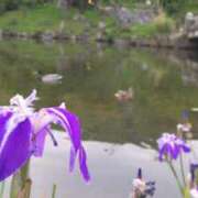 ヒメ日記 2025/05/14 05:38 投稿 遠藤　さら プルプル人妻専門店