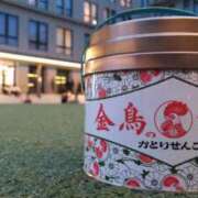 ヒメ日記 2025/05/30 19:55 投稿 遠藤　さら プルプル人妻専門店