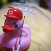 ヒメ日記 2025/06/03 05:08 投稿 遠藤　さら プルプル人妻専門店