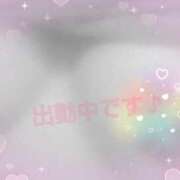 ヒメ日記 2025/06/03 14:59 投稿 遠藤　さら プルプル人妻専門店