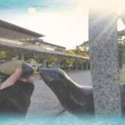 ヒメ日記 2025/06/06 17:41 投稿 遠藤　さら プルプル人妻専門店