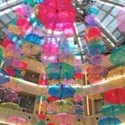 ヒメ日記 2025/06/07 13:40 投稿 遠藤　さら プルプル人妻専門店