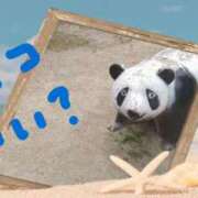 ヒメ日記 2025/06/09 19:46 投稿 遠藤　さら プルプル人妻専門店