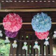 ヒメ日記 2025/06/11 06:17 投稿 遠藤　さら プルプル人妻専門店