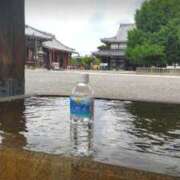 ヒメ日記 2025/06/12 14:33 投稿 遠藤　さら プルプル人妻専門店