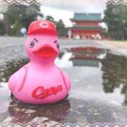 ヒメ日記 2025/06/16 07:03 投稿 遠藤　さら プルプル人妻専門店