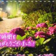 ヒメ日記 2025/06/17 00:18 投稿 遠藤　さら プルプル人妻専門店