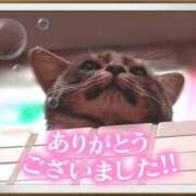 ヒメ日記 2025/06/19 00:05 投稿 遠藤　さら プルプル人妻専門店