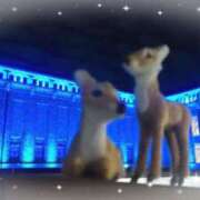 ヒメ日記 2025/06/20 19:01 投稿 遠藤　さら プルプル人妻専門店