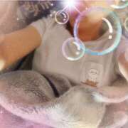 ヒメ日記 2025/06/21 06:26 投稿 遠藤　さら プルプル人妻専門店