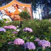 ヒメ日記 2025/06/22 15:36 投稿 遠藤　さら プルプル人妻専門店