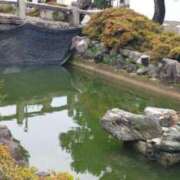 ヒメ日記 2025/06/24 10:53 投稿 遠藤　さら プルプル人妻専門店