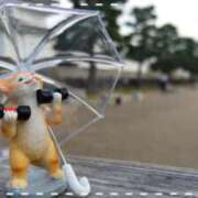 ヒメ日記 2025/06/25 05:08 投稿 遠藤　さら プルプル人妻専門店