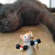 ヒメ日記 2025/06/26 07:05 投稿 遠藤　さら プルプル人妻専門店