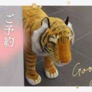 ヒメ日記 2025/06/29 14:29 投稿 遠藤　さら プルプル人妻専門店