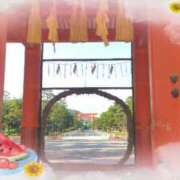 ヒメ日記 2025/06/30 07:05 投稿 遠藤　さら プルプル人妻専門店