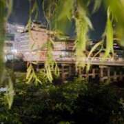 ヒメ日記 2025/07/03 00:37 投稿 遠藤　さら プルプル人妻専門店