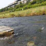 ヒメ日記 2025/07/03 07:32 投稿 遠藤　さら プルプル人妻専門店