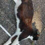 ヒメ日記 2025/07/04 18:22 投稿 遠藤　さら プルプル人妻専門店