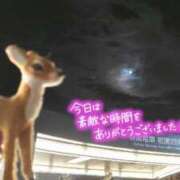 ヒメ日記 2025/07/11 00:35 投稿 遠藤　さら プルプル人妻専門店