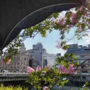 ヒメ日記 2025/07/29 18:44 投稿 遠藤　さら プルプル人妻専門店