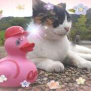 ヒメ日記 2025/08/03 18:53 投稿 遠藤　さら プルプル人妻専門店