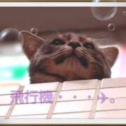 ヒメ日記 2025/08/04 17:41 投稿 遠藤　さら プルプル人妻専門店