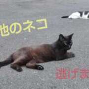 ヒメ日記 2025/08/06 17:50 投稿 遠藤　さら プルプル人妻専門店